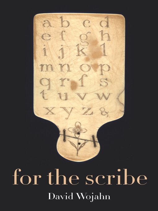 Cover image for For the Scribe